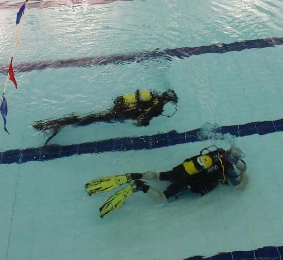 Divers enjoying a training session at Crosby Leisure Centre. An overhead view from the gallery.